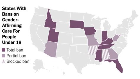 These States Have Banned the Type of Deepfakes That Targeted。